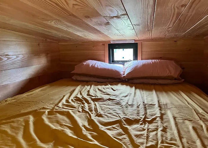 Beaver Tail Cabin